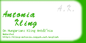 antonia kling business card